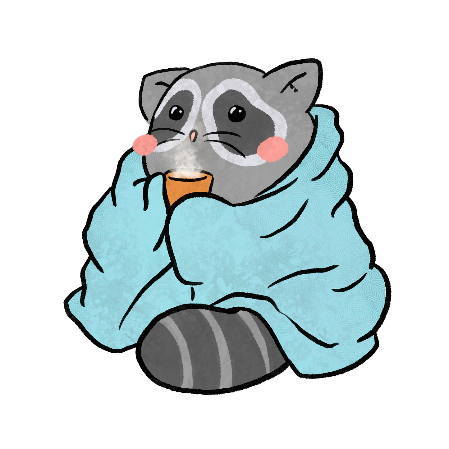 Blanket raccoon