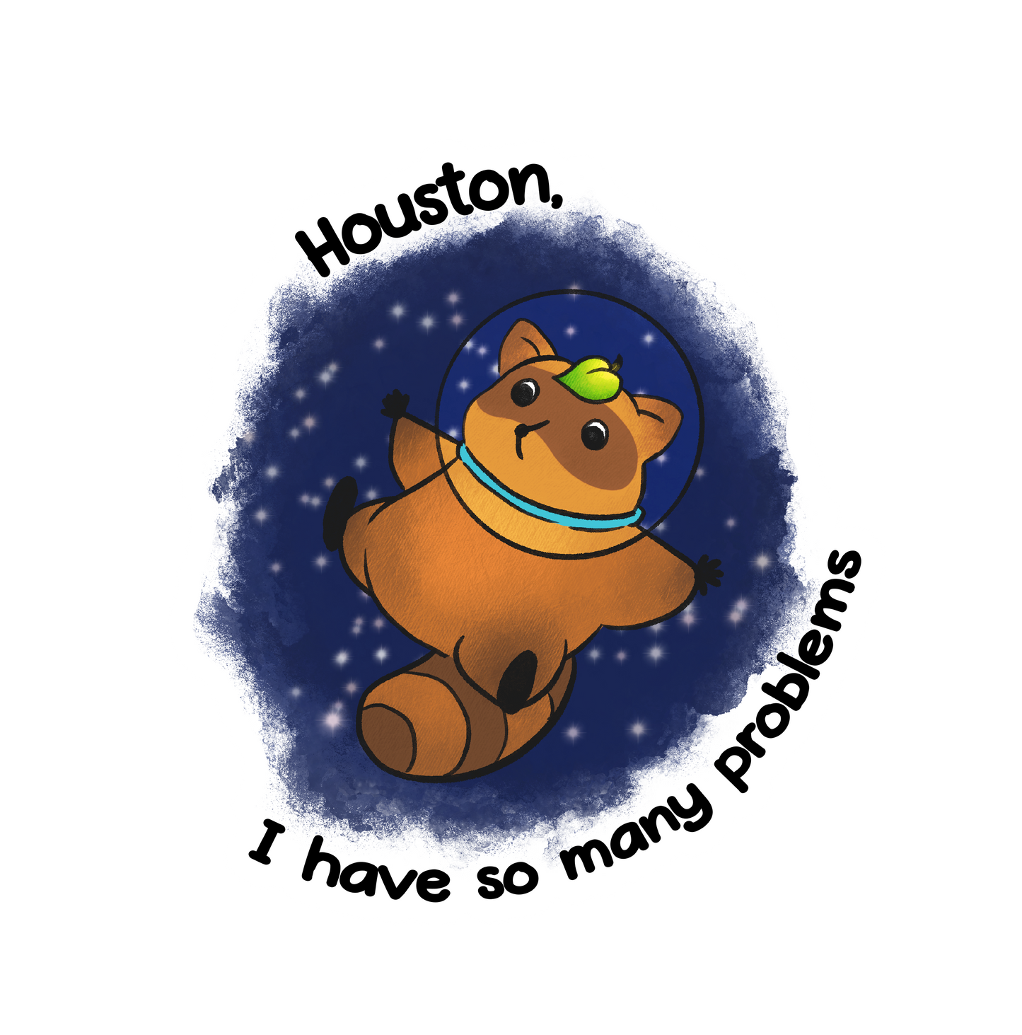 Houston I have so many problems