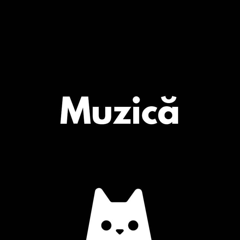 Muzică