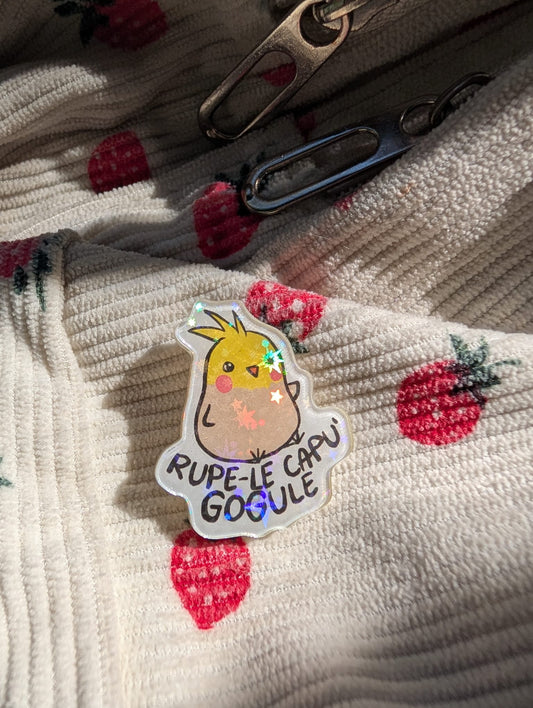 Gogu shiny acrylic pin