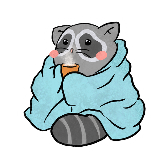 Blanket raccoon
