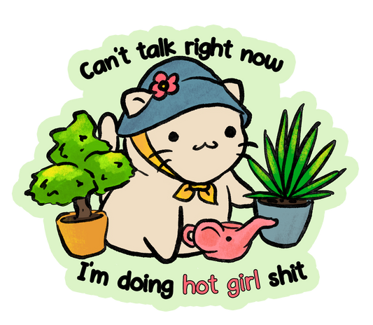 Hot girl shit
