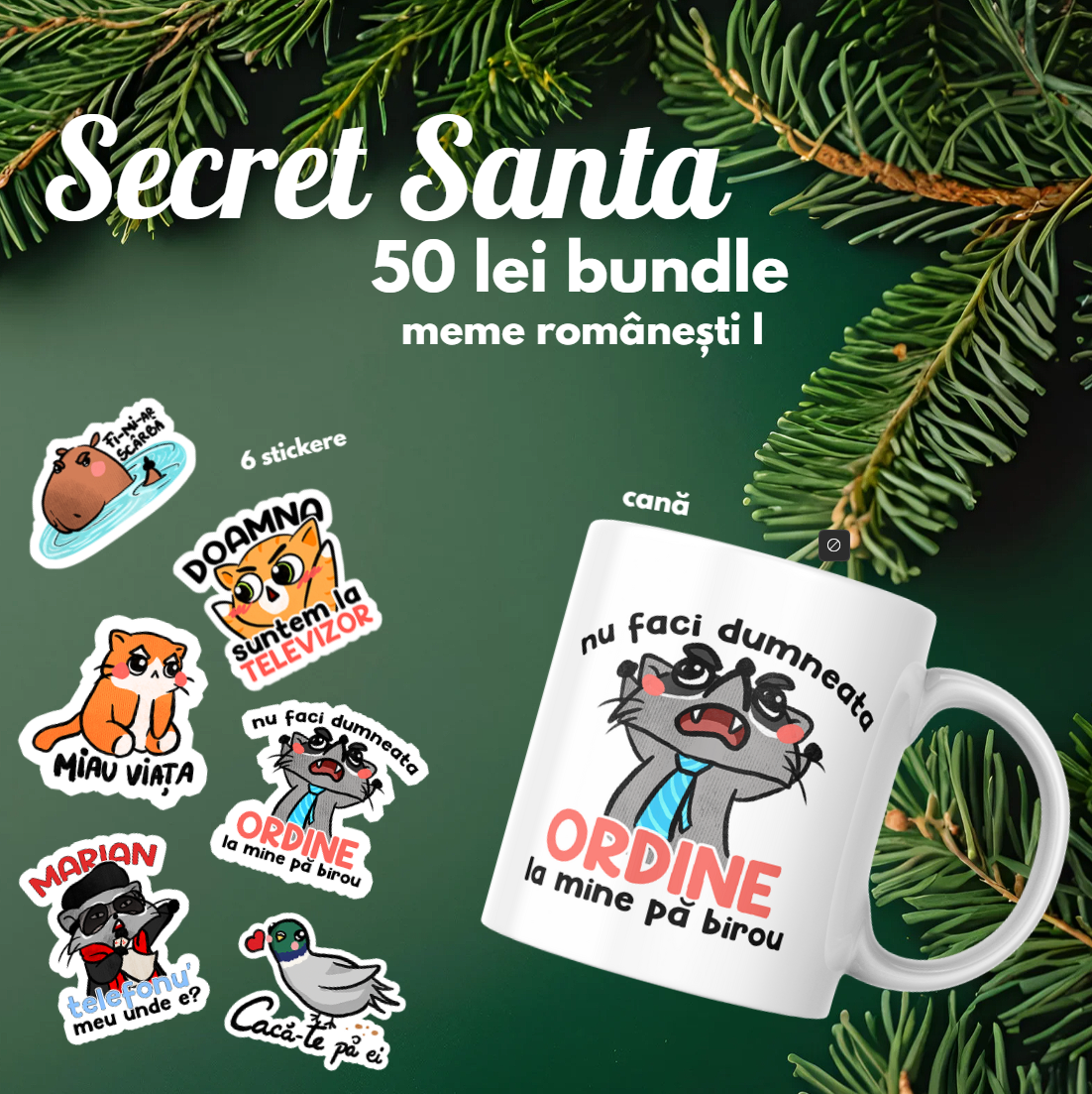 50 lei bundle - meme românești I