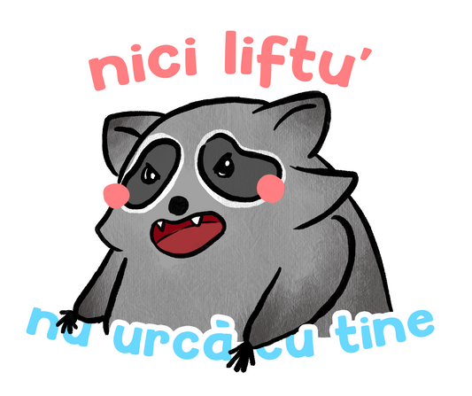 Ratonul Vadim - nici liftu' nu urca cu tine